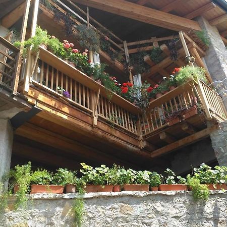 La Cort Di Nonna Rosa Bed & Breakfast Mori Luaran gambar